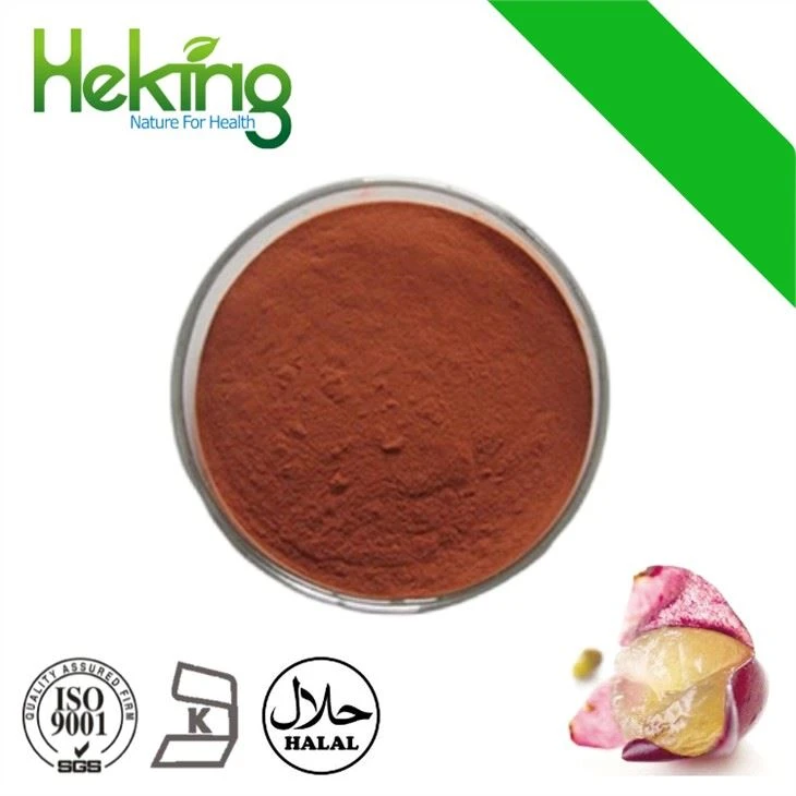 Chiết xuất vỏ nho